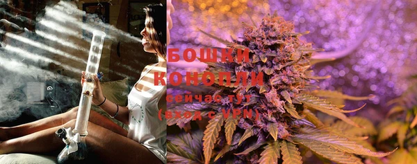 кокс Белокуриха